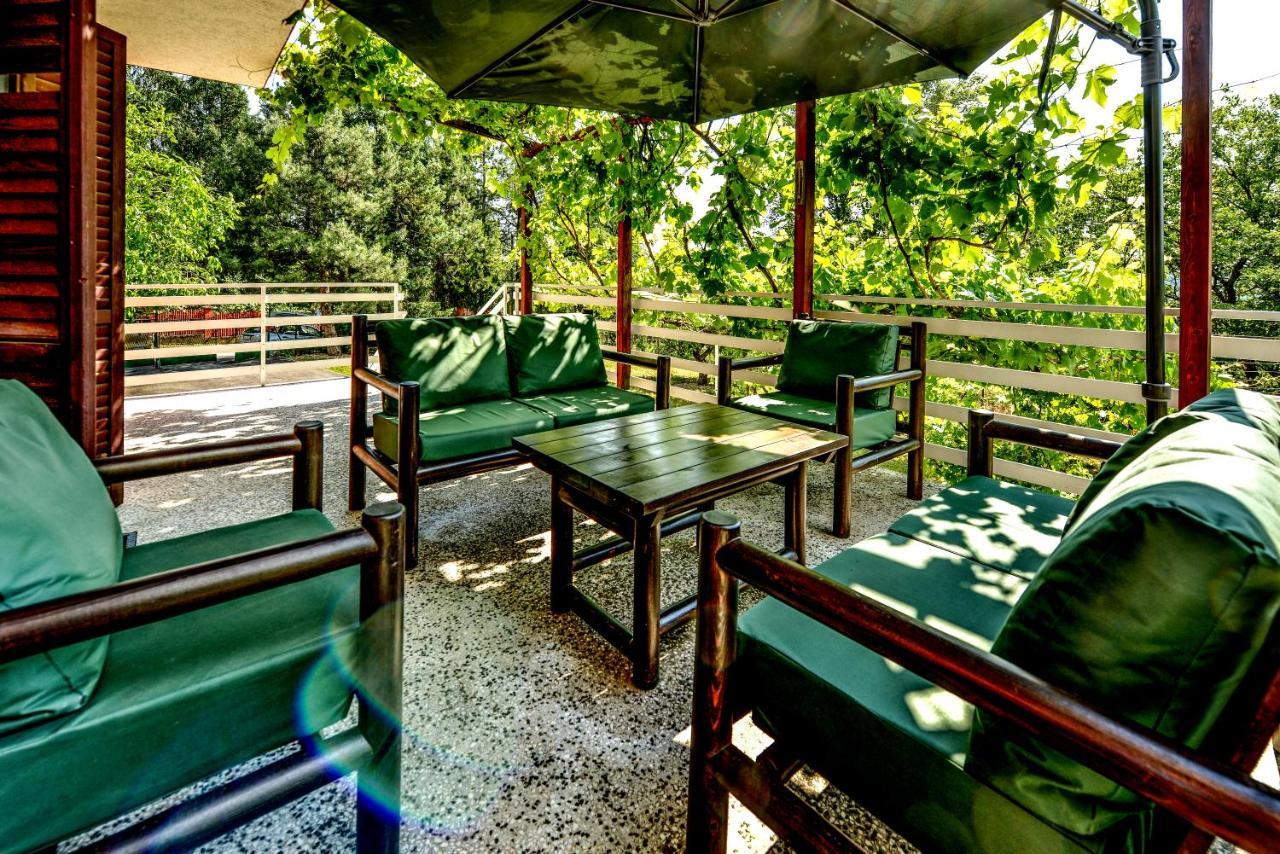 Villa Dijana - Pool, Spa, Outdoor Kitchen Beograd Eksteriør billede